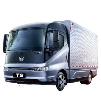 Verkoopkampioen Made in China Pure Electric 200KM BYD T5D Box Logistics Vehicle