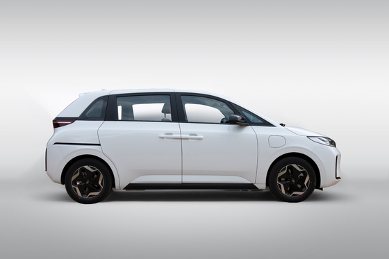 BYD D1 Hot Selling 418 kilometer, elektrische auto met de beste kostenprestaties, gemaakt in China, krachtig nieuw energievoertuig