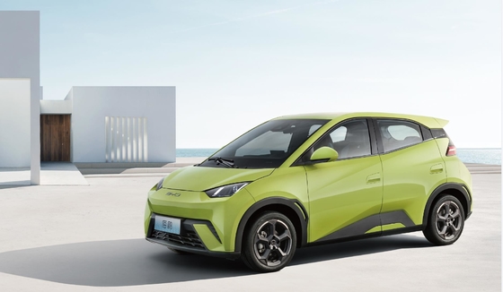 BYD Pure Electric 305KM Compacte familieauto