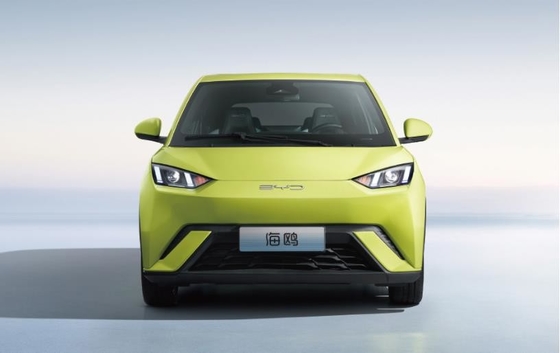 BYD Pure Electric 305KM Compacte familieauto