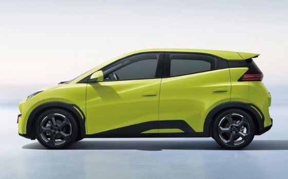 BYD Pure Electric 305KM Compacte familieauto