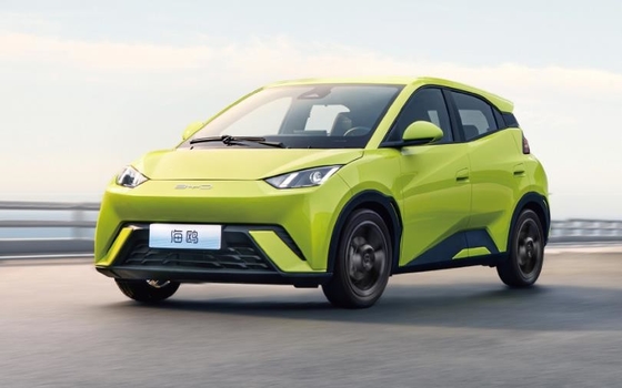 BYD Pure Electric 305KM Compacte familieauto