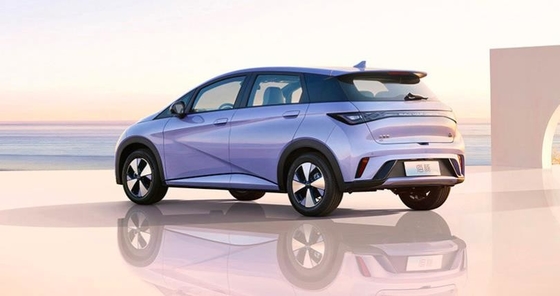 BYD Pure Electric Range 401KM Compact Populaire Huisauto Dolphin