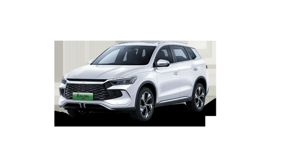Verkoopkampioen Range 110KM Excellent Hybrid BYD Song Pro Demi Champions Edition SUV