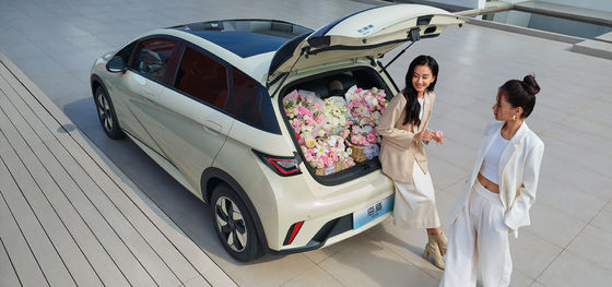 1.5L Cilinderinhoud BYD Seal06 DM-i 120KM Leading Edition