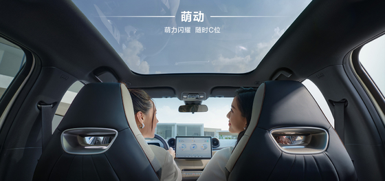 BYD 2025 Dolphin 520 km Knight-editie EV