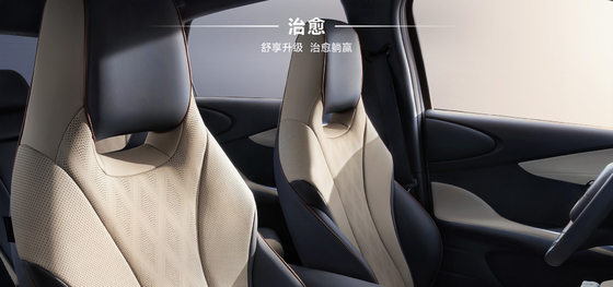 BYD 2025 Dolphin 520 km Knight-editie EV