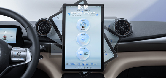 BYD 2025 Dolphin 520 km Knight-editie EV
