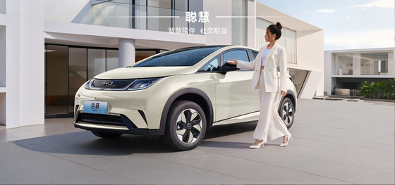 BYD 2025 Dolphin 520 km Knight-editie EV