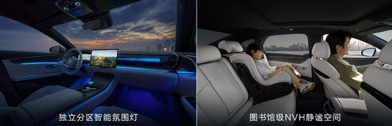 BYD Han DMM-121KMMS Pioneer Honor-editie