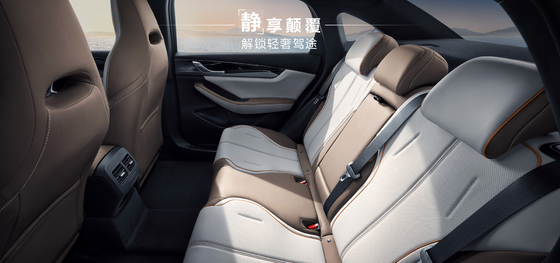 BYD Qin Plus DMI 102 km Leading Glory-editie