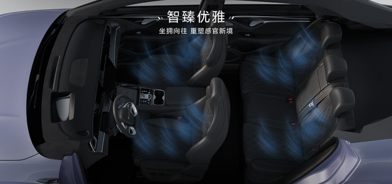 2025 BYD Zeeleeuw EV07 550KM