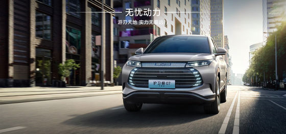 BYD-fregat 07 100 km Elite-type