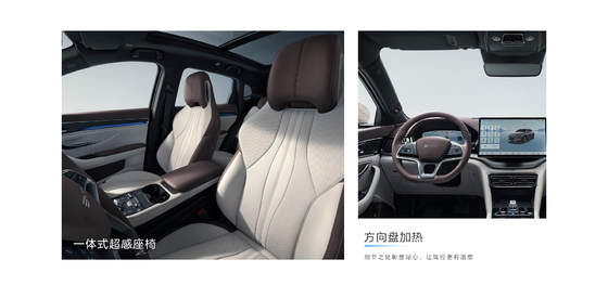 BYD 2025 Song Pro DM-i71KM Navigatie Honor Edition