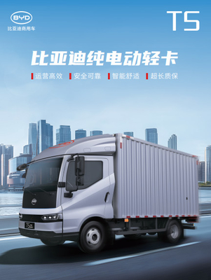 Specificaties van T5 PURE ELECTRIC LIGHT TRUCK